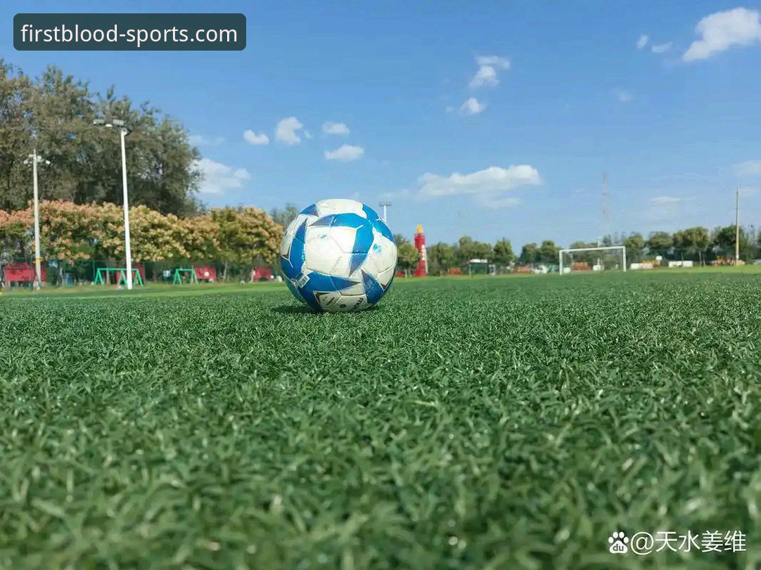 从“金元足球”到法庭审判：一场商业与体育交织的深度评测